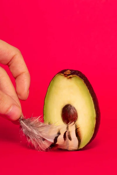 Avocado Pene Fundal Roșu Masturbare Femeie Orgasm Sex Pasiune — Fotografie, imagine de stoc