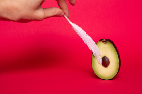 Avocado and feather on red background. Advertising for woman health. Woman hygiene, intimate hygiene, hygiene pad. Gynecology concept. Metaphorically