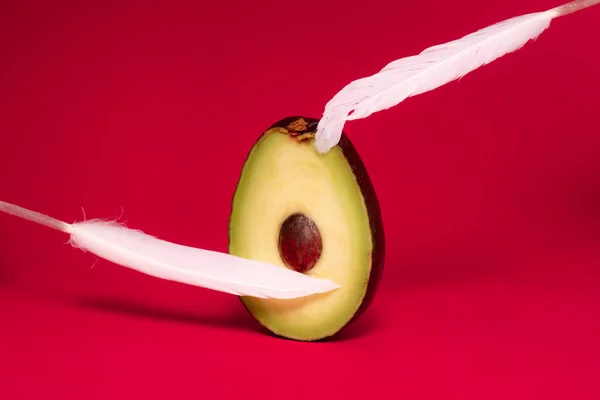 Avocado Feather Red Background Hot Game Sexual Games Concept Foreplay — Stock Photo, Image