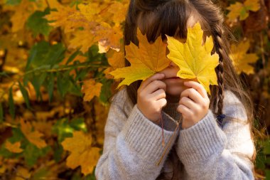 Mutlu sonbahar çocukları parkın dışındaki yapraklarla eğleniyor. Düşen Yapraklar Doğal Arkaplan. 