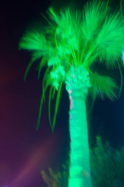 Blurred Green Led Palm Trees Night Colorful Vibrant Green Led — Stock Photo, Image