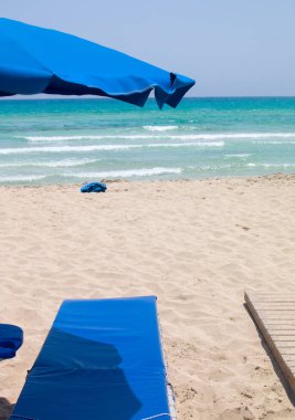 Plaj ve palmiye ağaçları, güneşli gün Kıbrıs