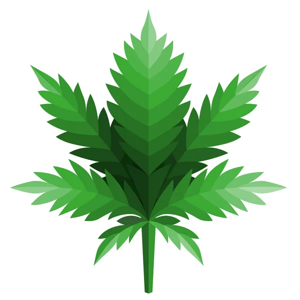Diseño de Logo de Hoja de Cannabis Inspiración Aislada sobre Fondo Blanco — Vector de stock