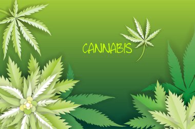 Kağıt kesiği Tıbbi marihuana veya kenevir yaprağı logosu