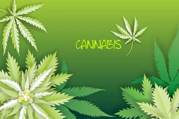 Corte de papel Medicamento marijuana ou cannabis folhas logotipo — Vetor de Stock