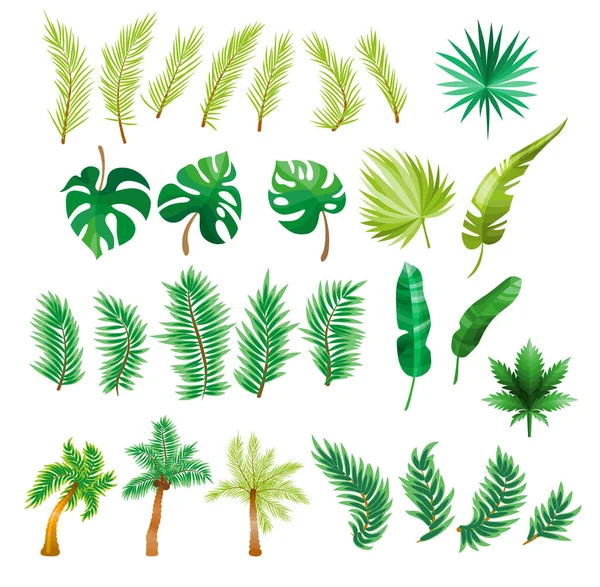 Hojas de palma tropical, hojas de la selva, hoja partida, hojas de filodendro, conjunto aislado sobre fondo blanco — Archivo Imágenes Vectoriales