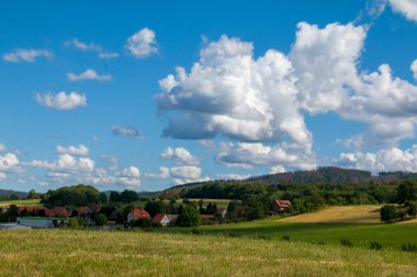 Saksonya-Anhalt, Dr. Beck. Almanya, Sommer 'de yaşlı ölü ve kuru bir ağaç olan ormanlar üzerine panoramik, güneşli bir gün, mavi gökyüzü