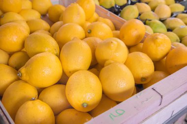Bir görüntü üzerinde tahta bir sandık, Gıda Market, Biarritz, Fransa taze sulu limon.