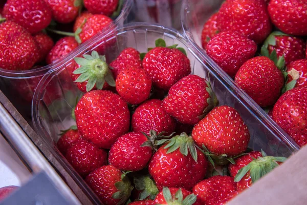 Bir taze gıda pazarında, Biarritz, Fransa ekranda plastik bir kutu içinde taze çilek.