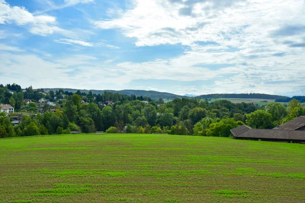A scene of flat farm green land, with green trees, a vibrantly blue sky and a small cozy town in the background. A green landscape wallpaper.