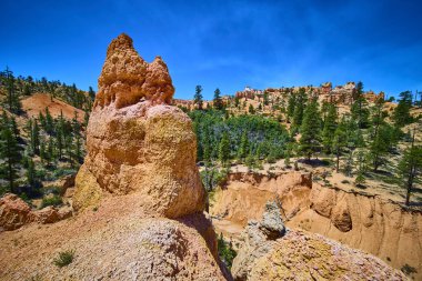 Bryce Canyon Ulusal Parkı Utah 'taki Yosun Mağarası Yolu' ndaki canlı çam ağaçları ve dramatik uçurumlar arasında yükselen bir hudu kayası oluşumu durmaktadır..