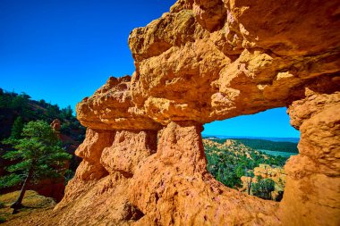 Panguitch Utah yakınlarındaki kemer yolu boyunca uzanan Kızıl Kanyon kumtaşı kemerinin canlı bir görüntüsü, doğal bir pencere çerçeveli çam ağaçları ve açık havada açık mavi gökyüzü..