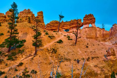 Kızıl kaya oluşumları ve Bryce Canyon Ulusal Parkı Utah 'taki yosunlu mağara patikasının üzerinde belirgin bir doğal kemer yükselişi uzun çam ağaçları ve canlı bir öğleden sonra gökyüzü..