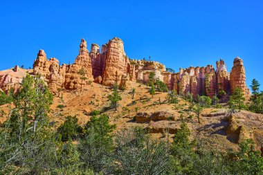 Titrek çam ağaçları ve Utah 'taki Mossy Cave Patikası boyunca bulutsuz mavi gökyüzü ile Bryce Canyon Ulusal Parkı' nın engebeli arazisinin üzerinde yükselen yüksek hudu oluşumları..