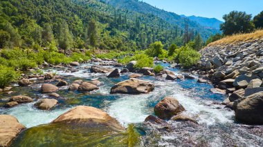 Merced Nehri 'nin berrak suları Yosemite California' da yeşil orman ve dağ tepeleriyle çevrili kayaların üzerinden akar..