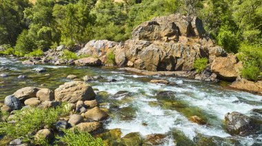 Merced Nehri 'ndeki kayaların üzerinden parlak yaz güneşi altında geniş kaya kütleleri ve yoğun Kaliforniya ormanlarıyla akan berrak su canlandırıcı ve canlı bir doğal manzara yaratır..