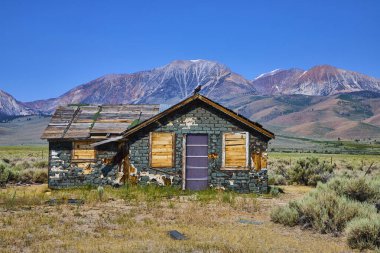Terk edilmiş bir ev, Kaliforniya 'nın vahşi doğasında Lee Vining' in yanında duruyor. Çatıya tünemiş bir karga ve açık mavi gökyüzünün altında yükselen Williams Butte..