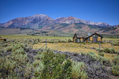 Terk edilmiş bir ev, Lee Vining California 'nın yakınlarındaki güneşli bir çalı tarlasında duruyor. Dramatik Williams Butte dağları ve yakınındaki kırsal yalnızlığı ve doğal güzelliği yakalayan yalnız bir karga..
