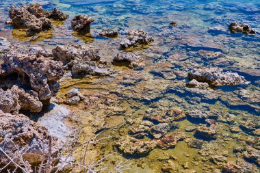 Kaliforniya 'daki Mono Gölü' nün berrak kıyı şeridi boyunca yükselen engebeli tufa oluşumları, güneş ışığının eşsiz dokuları ve durgun suyu aydınlatarak sakin ve doğal bir manzara yaratıyor..
