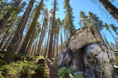 Güneş ışığı Sequoia Ulusal Parkı 'ndaki Crescent Meadow' da büyük bir kayanın yanından geçerken görkemli sekoya ağaçlarının arasından akar ve macera ve sükunetin özünü yakalar..