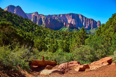 Kolob Kanyonu 'nun güneşli kırmızı kayalıkları, yoğun bir çam ve ardıç ormanının üzerinde Zion Ulusal Parkı' ndaki engebeli taşlar ve çöl bitkileriyle yükseliyor. Utah, canlı bir macera ve doğal güzellik manzarası yaratıyor.