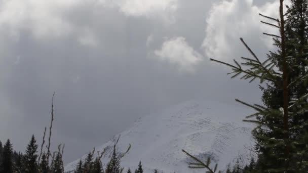 Ukraina Karpaty Chmury Najedź Górze Mount Petros Otwieranie Zamykanie Promieniami — Wideo stockowe
