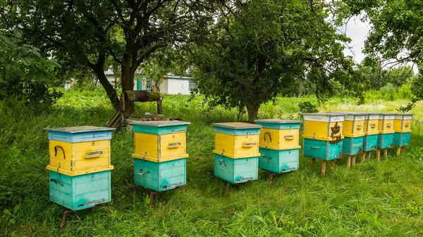 Die Bienenstöcke — Stockfoto