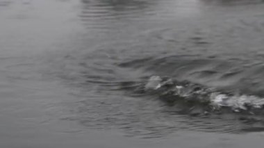 Suya giriş noktasında kürek yakın çekim.