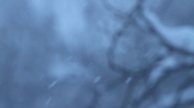 Kış, ön planda yağan kar görünür, arka planda kardaki ağaç dalları bulanık. Tam HD, ses yok