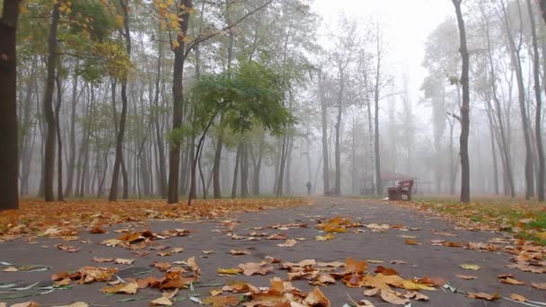 Mlha Podzim Muž Kráčí Uličkou Parku Dálce Pohyb Fotoaparátu Vlevo — Stock video