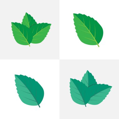 Nane yeşili vektör çizimi. Nane yaprakları vektör logosu