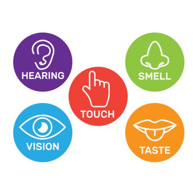 5 duyu simgesi koleksiyonu rengi. Beş duyu simgesi ayarlandı