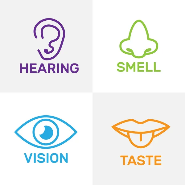 Наборы Икон Представляющих Пять Чувств Вид Запах Слух Осязание Вкус — стоковый вектор