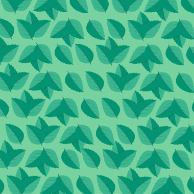 Taze nane yaprağı. Nane yaprakları vektör logosu