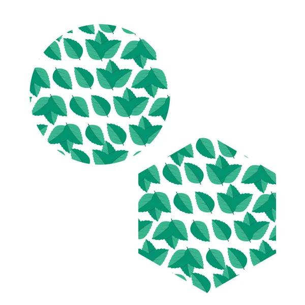 Ícones Folhas Verdes Folhas Hortelã Logotipo Vector — Vetor de Stock
