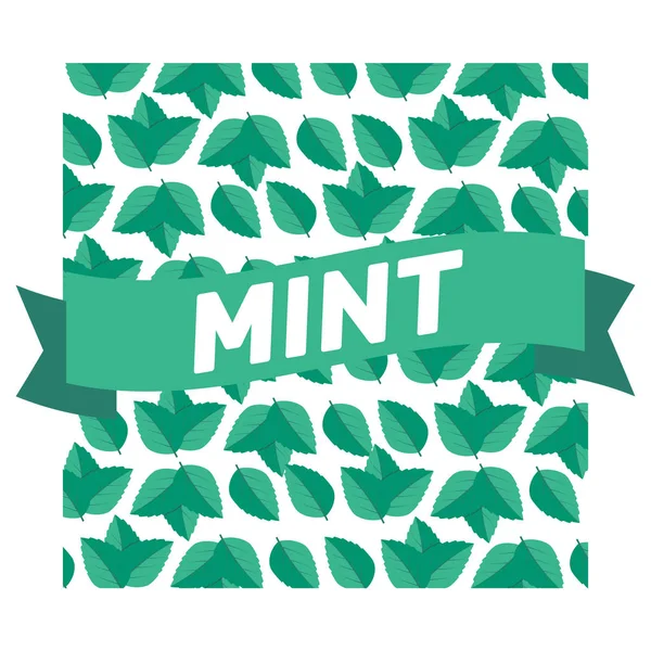 Mint Blad Vektor Logotyp Mint Blad Vektor Illustration — Stock vektor