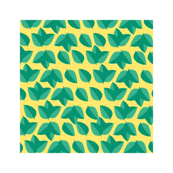 ミントリーフベクトルイラスト 葉ハーブ スターミント植物 — ストックベクタ