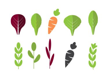 Havuç salatası malzemeler. Yapraklı sebzeler havuç düz Icons set ile. Organik ve vejetaryen, Hodan ve radichio. 