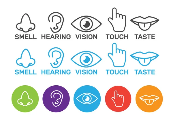 Ícone Sentidos Humanos Visão Olfato Audição Tato Paladar Ícones Sentir — Vetor de Stock