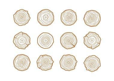 Ağaç halkaları arka plan. Yıllık soyut çember ağaç vektörü