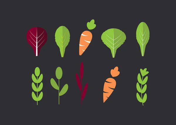 Havuç Salatası Malzemeler Yapraklı Sebzeler Havuç Düz Icons Set Ile — Stok Vektör