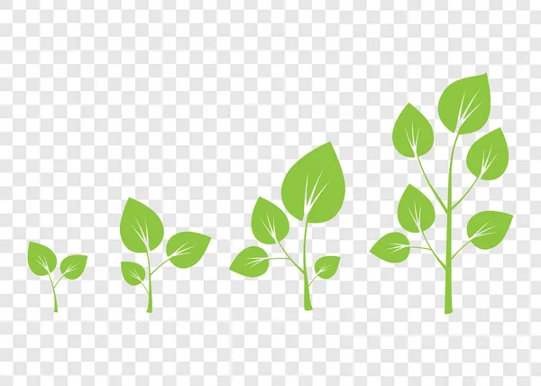 Tillväxt Träddiagram Gröna Träd Tillväxt Bakgrund — Stock vektor