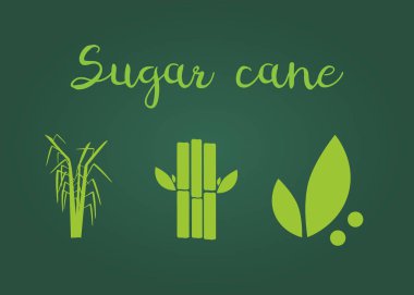 Şeker kamışı çizimi. Şeker ve şeker kamışı etiketleri