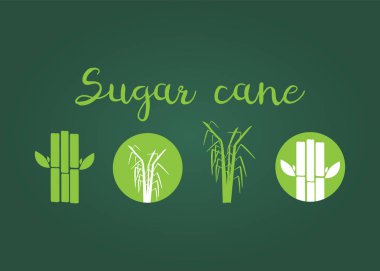 Şeker kamışı düz simgeler illüstrasyon vektör ayarlayın. Şeker kamışı vektör