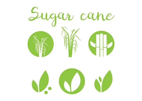 Силуэты сахарного тростника иконы. Векторная иллюстрация сахарного тростника — стоковый вектор