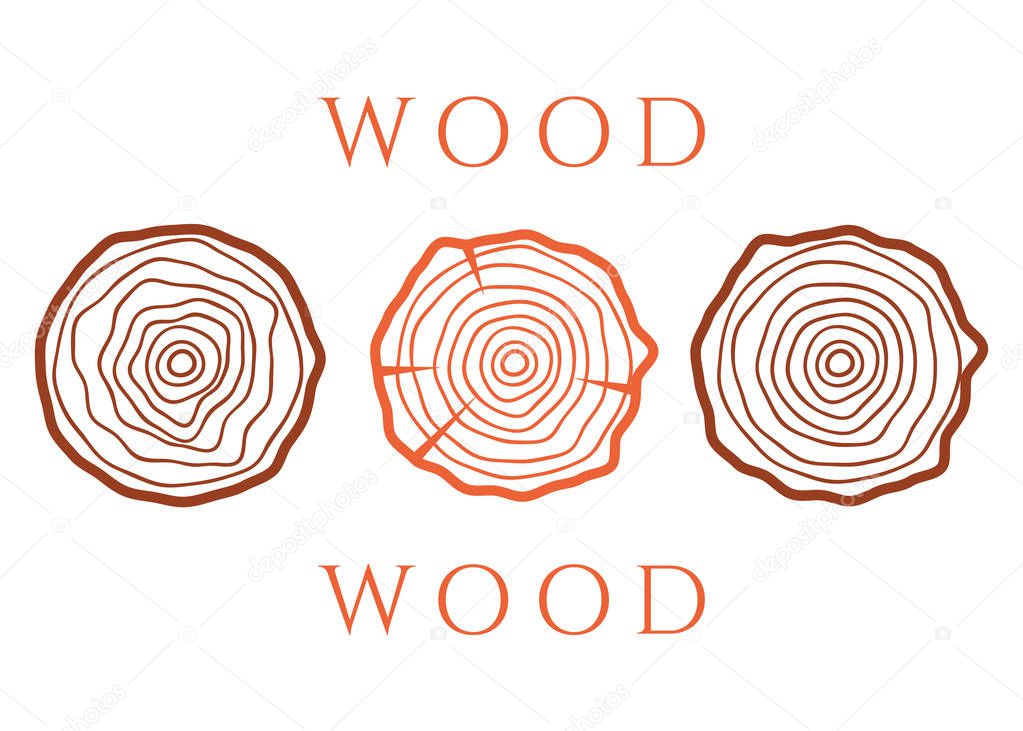 Vector tree rings. Wood texture vector. Abstract circle tree background