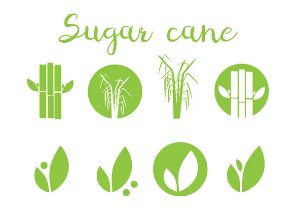 Cukrové Třtiny Vektorové Ilustrace Cukru Cukrové Třtiny Štítky — Stockový vektor
