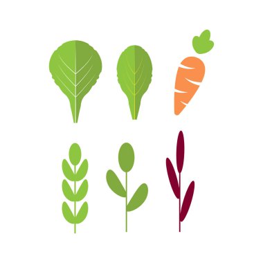 Havuç salatası malzemeler. Yapraklı sebzeler havuç düz Icons set ile. Organik ve vejetaryen, Hodan ve radichio. 