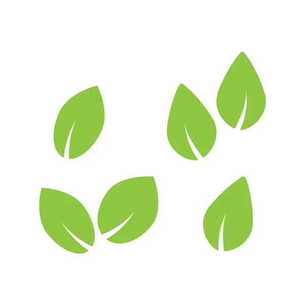 緑の木と植物の葉のベクトルアイコンは白い背景に隔離されます エコシンボルセット 植物の緑の葉 有機自然な花のイラスト — ストックベクタ