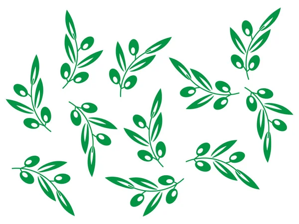 Olive tree pattern. Vector olives background. Olive texture